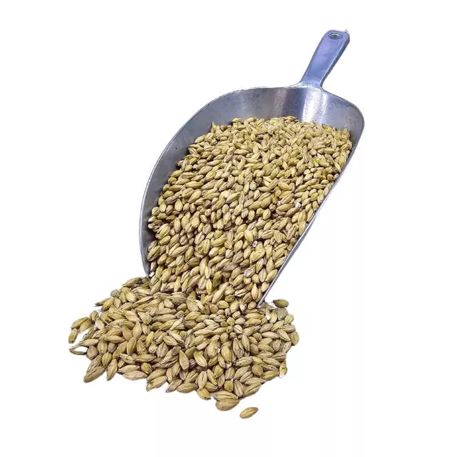 גרעיני כוסמין בתפזורת מחיר ל 100 גרם  Spelt by bulk