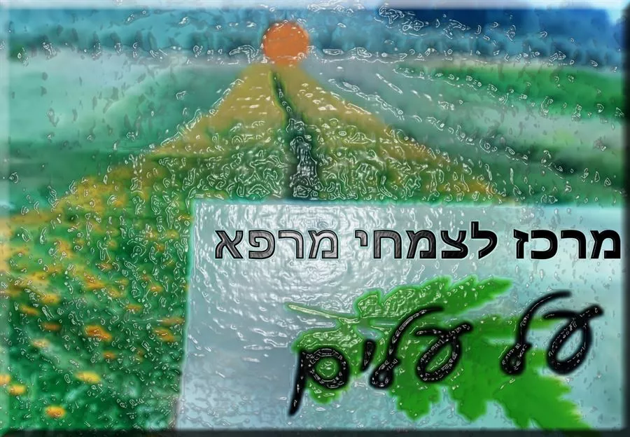 חליטת צמחים זקן תירס פרחים 50 גרם - על עלים
