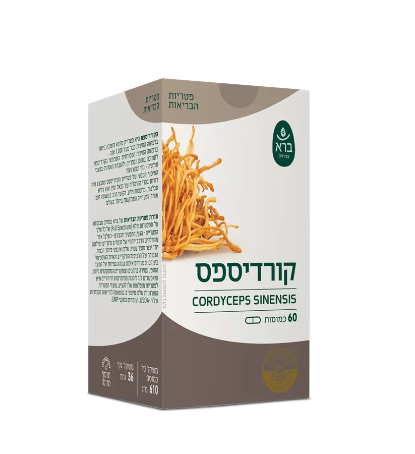 קורדיספס ברא   Cordyceps sinensis Bara