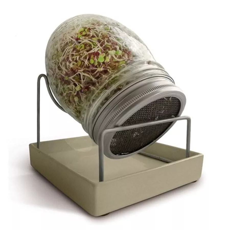 מנבטה ביתית ג'מוקה Jammoka Sprouting Jar
