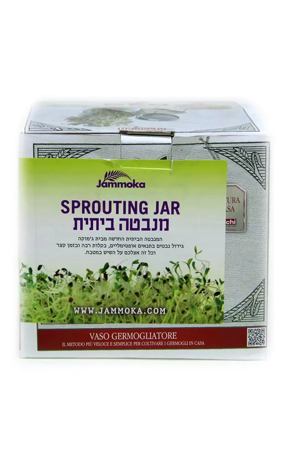 מנבטה ביתית ג'מוקה Jammoka Sprouting Jar