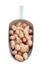 בוטנים טבעים קלופים 100 גרם   Peeled Natural Peanuts כליל הטבע